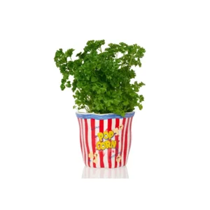 Bitten Bloempot Popcorn