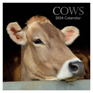 Kalender - 2024 - Koeien - 30x30cm