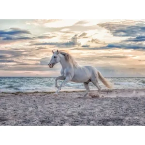 Puzzel - Paard op het strand - 500st.