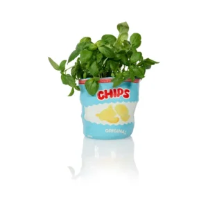 Bitten Design Bloempot Snack Schaal Chips Zak Keramiek