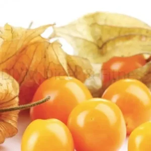 Purasana Kaapse Kruisbes / Golden berries / physalis 200 gram