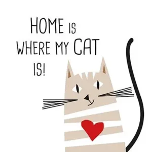Home is where my cat is servet