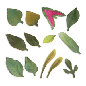 Sizzix Thinlits Leaves Garden