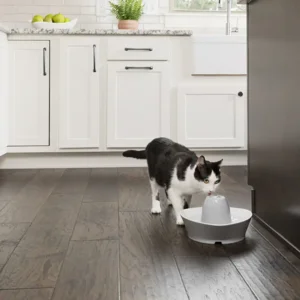 Streamside Ceramic Pet Fountain - 1.8 L