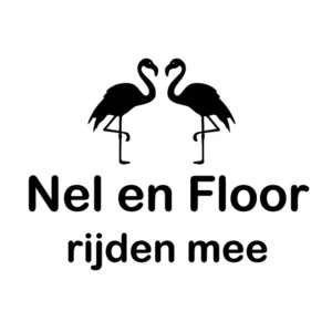 Autosticker Gepersonaliseerd flamingo