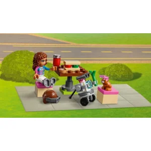 LEGO Friends - Heartlake City Vliegtuigtour - 41343