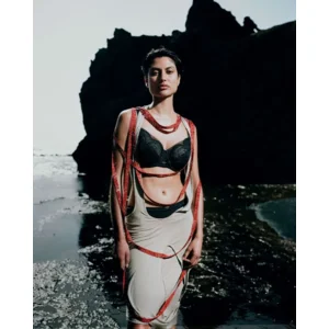 Chantelle – BH Beugel – Mystic Dream – C11YMU – Black Lurex