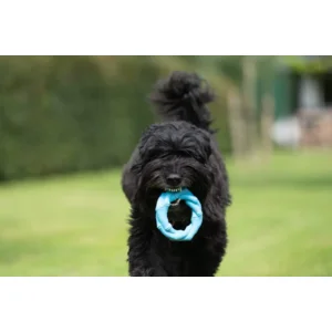 JV Playscent Ring Bacon-Ø14cm