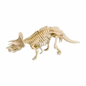 Uitgraafset lichtgevend Triceratops skelet