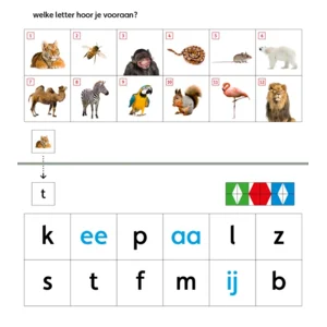 Mini - Pakket - Starterspakket