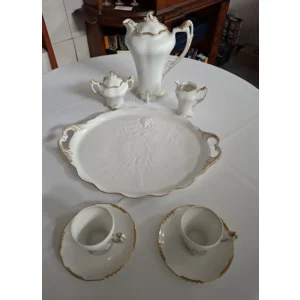Königlich privilegierte Porzellanfabrik Tettau	Mokkaservies Daphne Goud 18 delig	Tettau Antiquariat		Handarbeid
