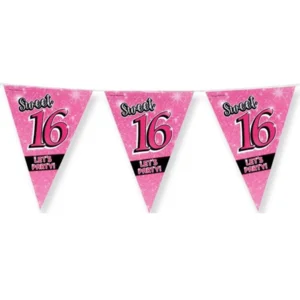 Vlaggenlijn - Sweet 16 - 10m