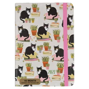 Agenda - 2027 - Compact - 16 maanden - Knappe katten - 12,7x17,8cm