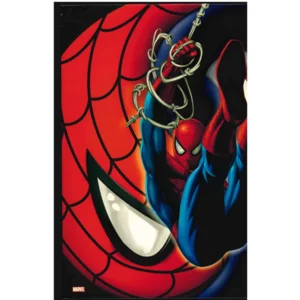Ringmap Spiderman 2 Ringen -5 cm