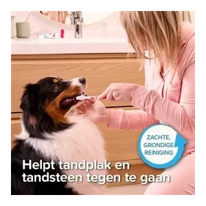 Beaphar Tandpasta En Borstel Combi-Pack