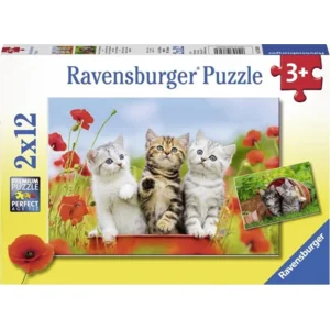 Ravensburger Puzzel Katjes op ontdekkingsreis 2x12 stukjes