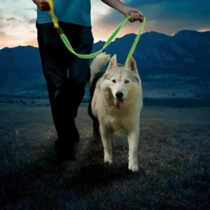 Nite Ize NiteDog oplaadbare Looplijn hond met groene Led verlichting NDLR-17-R3