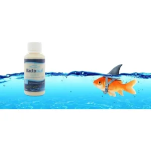 Bactocool® Aquarium 100 mL - levende en veilige bacterien - geef ammoniak en nitriet geen kans!