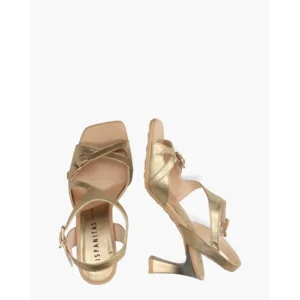 Hispanitas HV264814 Goud Damespumps