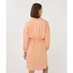 Esqualo Kleed: Belini kleur, 3/4 mouw ( ESQ.331 )