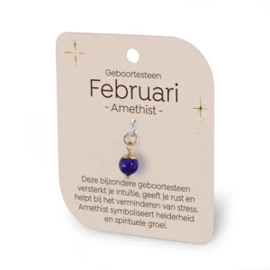 Gouden Charm - Geboortesteen - Februari