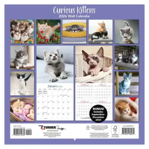 Kalender - 2026 - Nieuwschierige kittens - 30x30cm
