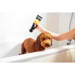 Animology Curly Coat Dog Shampoo 250 ml