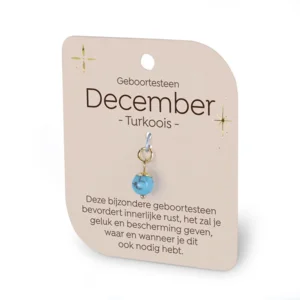 Gouden Charm - Geboortesteen - December