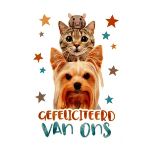 Kaart - Fun - Gefeliciteerd van ons - BWH39-B