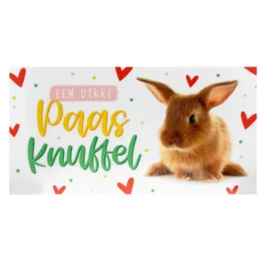 Kaart - Lente & pasen - Een dikke paasknuffel - SPP14-A