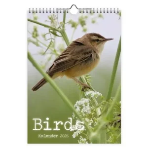 Maand kalender - 2026 - Vogels - Birds - 23,5x33,5cm