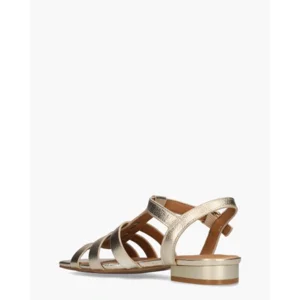 Di Lauro Desiree Goud Damessandalen