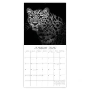 Kalender - 2026 - Wild portraits - 30x30cm