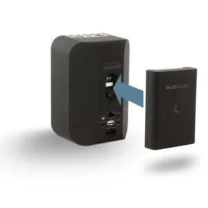 Bluesound BP 100 Battery Pack
