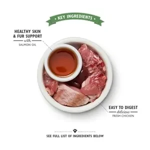 Lily's Kitchen Cat Smooth Paté Chicken 19X85 gr