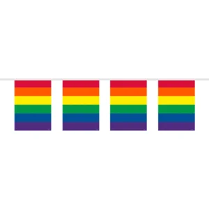 Regenboog Vlaggenlijn Vierkant - 10 meter