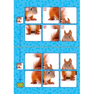 Loco Bambino - Boekje - Logisch denken - 3-5 jaar