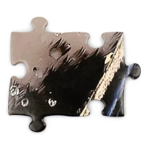 Puzzel - Pinguin - 76x61cm - 100st.