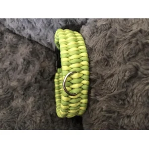Hondenhalsband Trilobite Green 1