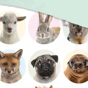 Kinder dekbedovertrek Puppy dieren
