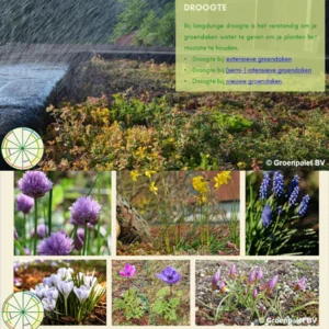 ebook interactieve digitale onderhoudskalender voor groendaken: sedum meststof, onkruid bestrijden op sedumdak, mos bestrijden