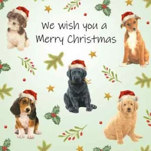 Kaart - Kerst - JBS - We wish you a merry christmas - KVF034