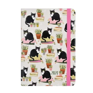 Agenda - 2024 - Compact - 16 Maanden - Slimme katten - 12,7x17,8cm