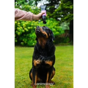 Animology Flea & Tick Dog Shampoo 250 ml