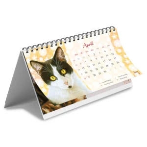 Bureau kalender - 2026 - Franciens katten - 21x14cm