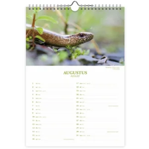 Maand kalender - 2026 - Dutch wildlife - 23,5x33,5cm