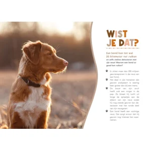 Boek - Handboek voor hondenbaasjes