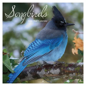 Kalender - 2026 - Zangvogels - 30x30cm
