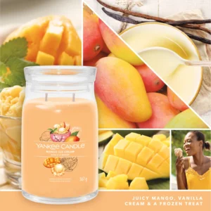 Mango Ice Cream - Signature Large Jar