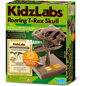 Knutselen - KidsLabs - Brullende T-rex schedel - 12cm